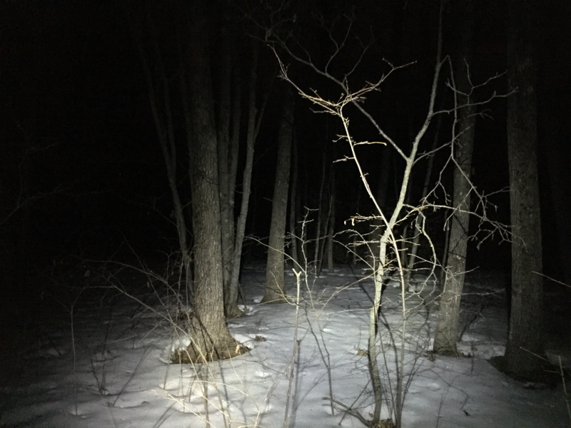 Off trail works just fine as long as the snow is transformed and hard-frozen. It’s like riding on styrofoam.
